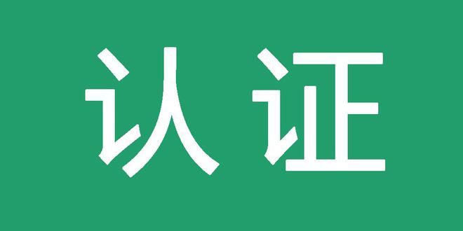 站群快排接单